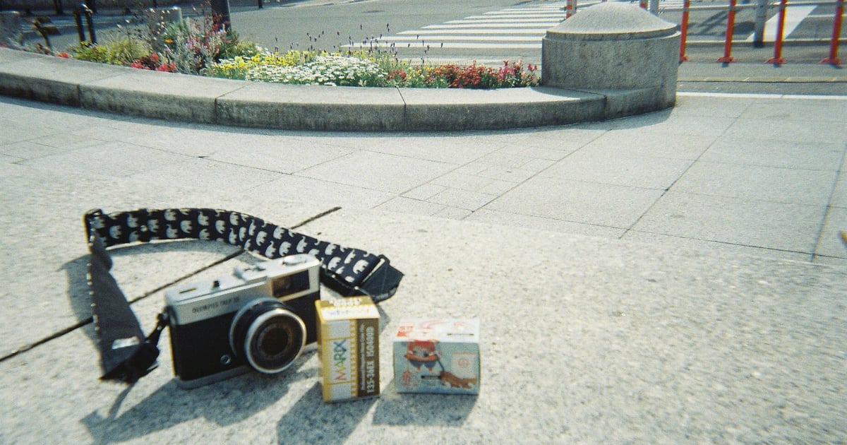 Olympus OLYMPUS TRIP 35の作例写真 | 作例から探すフィルムカメラ図鑑