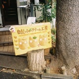 トトロのシュークリームやさん