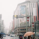 雨の銀座☂️