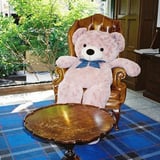 クマの優雅なひととき