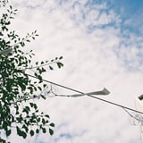 夏風に揺られる風鈴🎐
