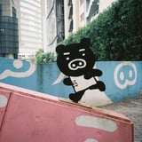 走るクマ
