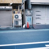 白ネコ発見🐱