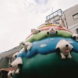 君の名は？🐶