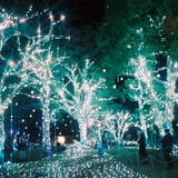 MIDTOWN CHRISTMAS 2024