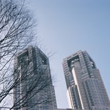 11 ぽい