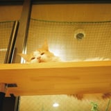 「ん？何か用？」