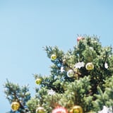 🎄