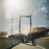 落ち葉×橋