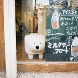 シロクマカフェ🐻‍❄️