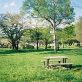 緑いっぱいの公園