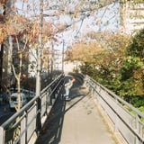 たぶん、20代の秋🍁