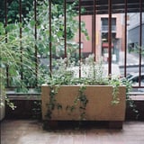 カフェの可愛い入り口