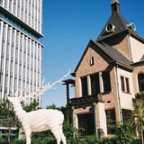 麹町で見つけた白い鹿のオブジェ