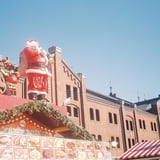 8月25日はサマークリスマス🎄