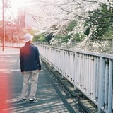 お父さんと、５回目の桜