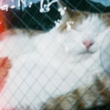 近づきすぎ