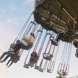 🎡