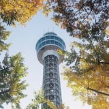 秋を探しに