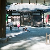 初詣