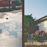 雨上がり散歩