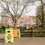 密かに撮り集めています