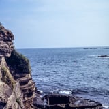 夏の海