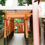鳥居の中