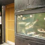 河豚のいる街角