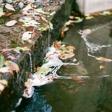 流れと澱み