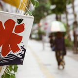 氷も終わり