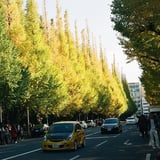 まだ青い