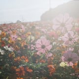 光あふれる