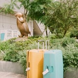ペンギンとスーツケース