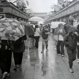 雨の浅草