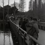 井の頭公園で