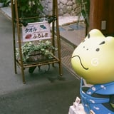 カエルさん？