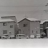 雪の日に