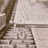 雪の階段