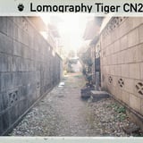 路地裏を進む