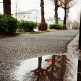 水たまりを
