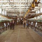 富岡製糸場