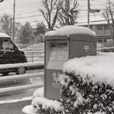 雪の日に