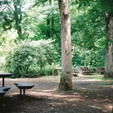 神代植物園