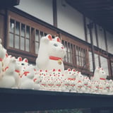 豪徳寺