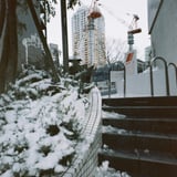 Two Cranes
