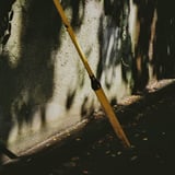 陽の当たる場所
