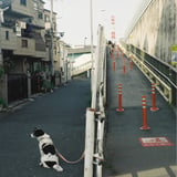 鉄塔のある町