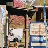 営業中