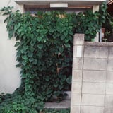 侵食